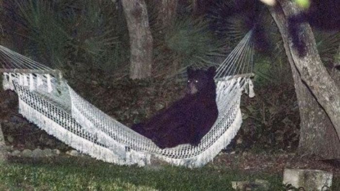 This Twitter Page Collects The Most ‘Cursed’ Images Online, Here Are 50 Of The Best