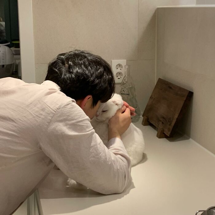 Este gato rechazó los intentos de su dueño de abrazarlo y se volvió viral en internet