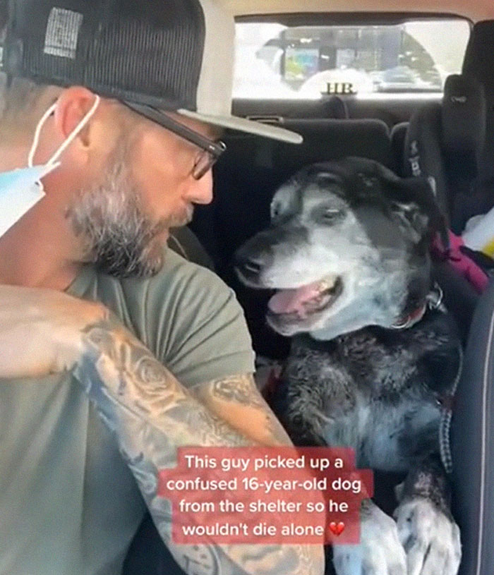 Un buen tipo adopta a un perrito anciano para que no muera solo