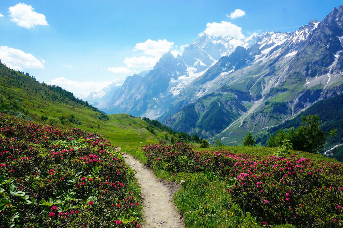 De excursión por los Alpes cerca de Courmayeur, Italia