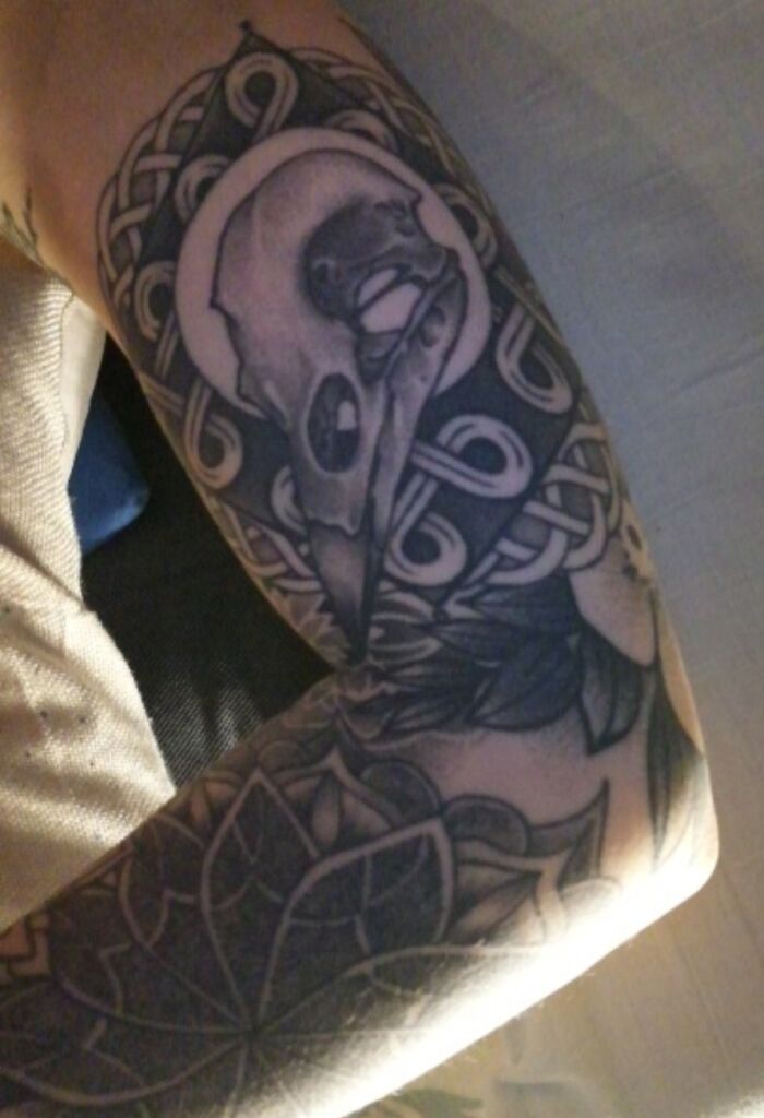 Mi calavera de cuervo y un poco de puntillismo