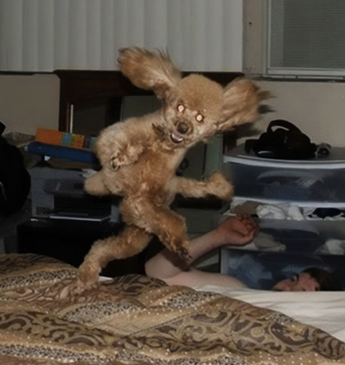 This Twitter Page Collects The Most ‘Cursed’ Images Online, Here Are 50 Of The Best