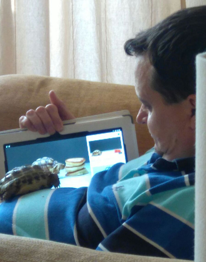 Papá: "No pienso cuidar de una tortuga". Papá también: "Acomódate, Hector, te voy a enseñar fotos de tus parientes"
