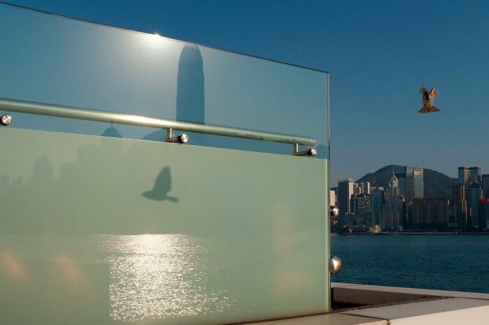40 Lucky Accidents Captured By Photographer Edas Wong (New Pics)
