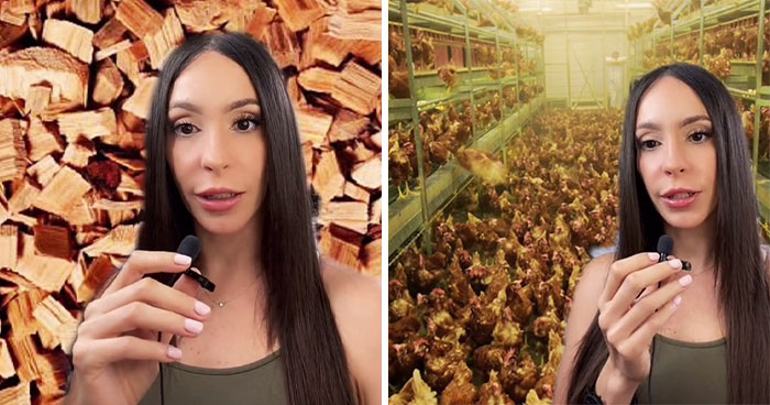 TikToker comparte 6 oscuros secretos de la industria alimentaria que probablemente no quieren que sepamos