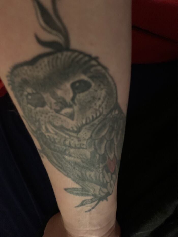 Mi hermana menor falleció, le encantaban los búhos y siempre tuvo el pelo rosa, así que tiene 1 pluma rosa