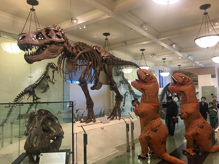 "¿Qué te han hecho, Kevin?" Pasamos Halloween en el museo y fue genial