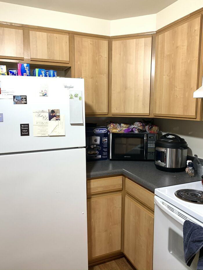 30 Cats Who Are The True Masters Of 'Hide And Seek' As Shared On This Twitter Page