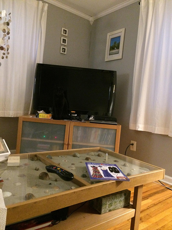30 Cats Who Are The True Masters Of 'Hide And Seek' As Shared On This Twitter Page
