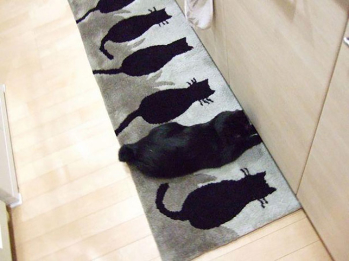 30 Cats Who Are The True Masters Of 'Hide And Seek' As Shared On This Twitter Page