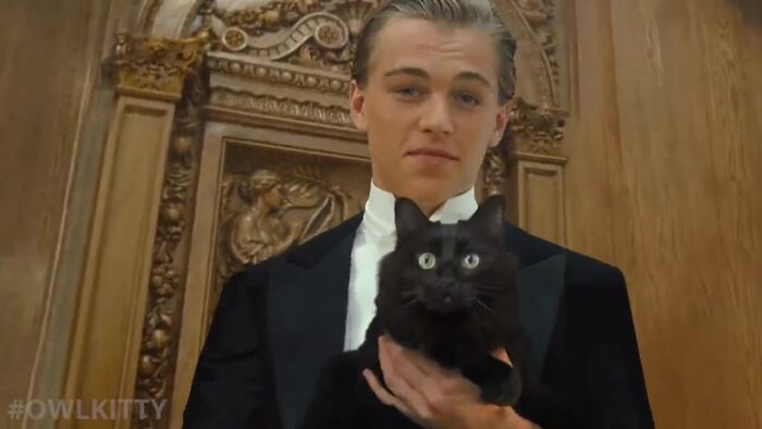 En esta versión mejorada de Titanic hay un gato, y el resultado es divertidísimo