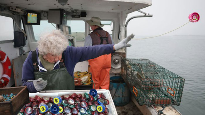 101 Y.O. Woman Is Photographed Throwing Away A Lobster Because It’s Too Small For Harvesting, And People Online Start Memeing It (30 Memes)