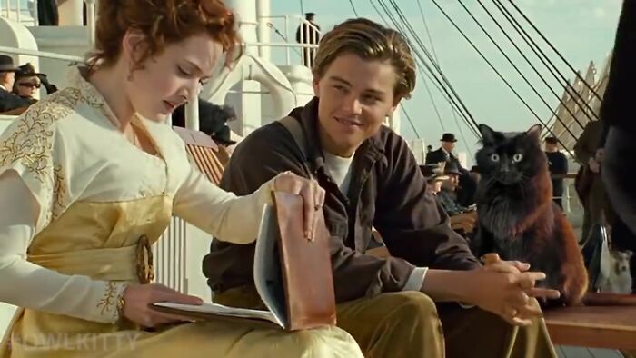 En esta versión mejorada de Titanic hay un gato, y el resultado es divertidísimo