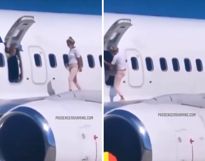 This Instagram Gathers Bizarre Images That Prove Passengers From Hell Exist (35 New Pics)