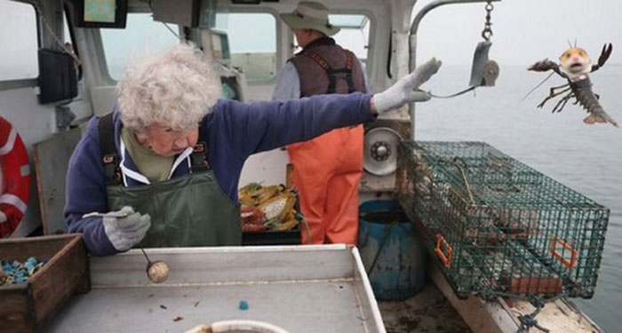 101 Y.O. Woman Is Photographed Throwing Away A Lobster Because It’s Too Small For Harvesting, And People Online Start Memeing It (30 Memes)