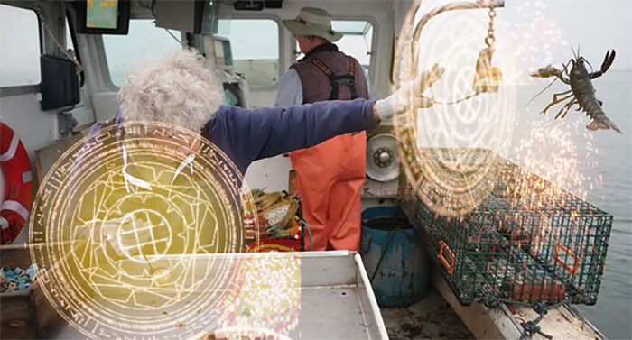 101 Y.O. Woman Is Photographed Throwing Away A Lobster Because It’s Too Small For Harvesting, And People Online Start Memeing It (30 Memes)