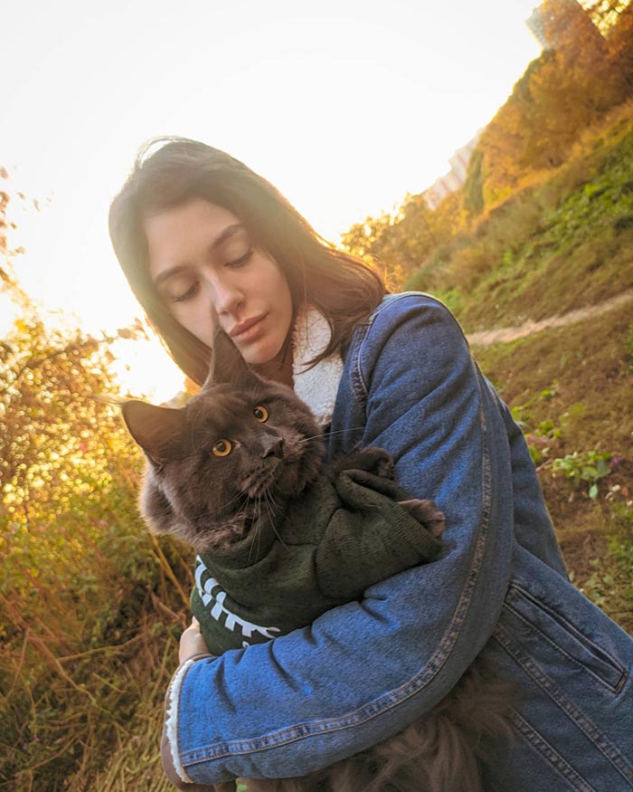 Este es Vincent, un gato Maine Coon que parece una pantera y actúa como un perro