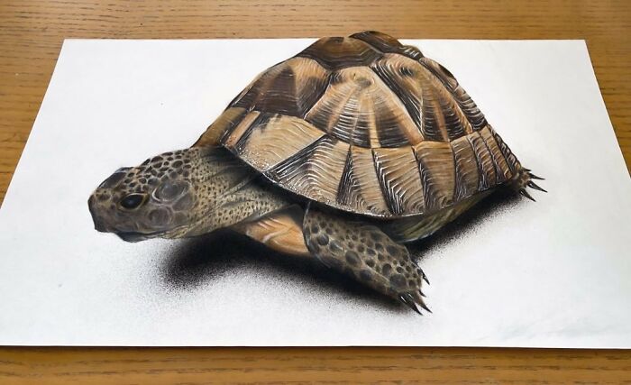 30 Drawings By This Japanese Artist That Look Like Optical Illusions