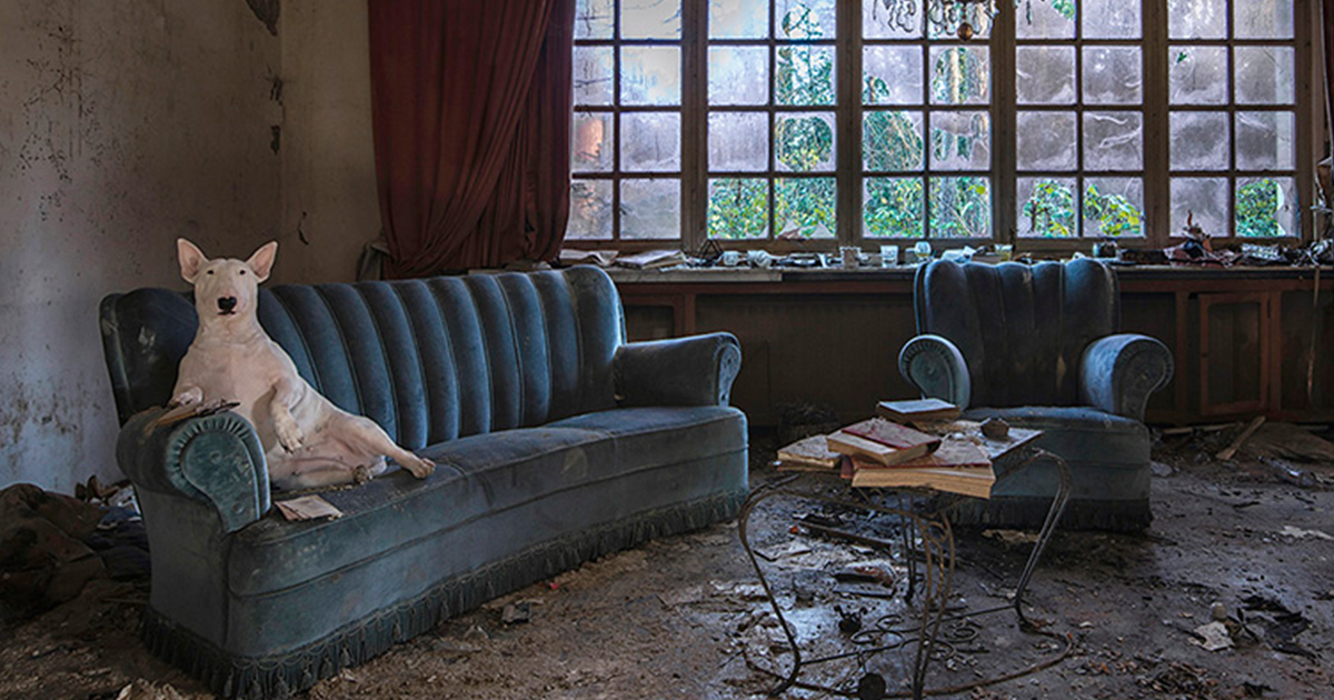 Mi perro y yo exploramos lugares abandonados, y esto es lo que hemos encontrado por ahora (30 Fotos nuevas)