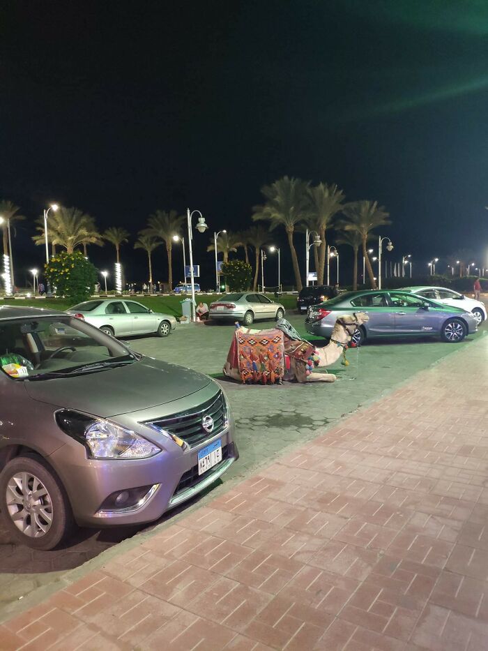 Un día normal en Egipto