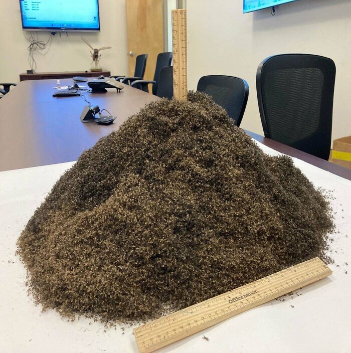 El aspecto de 1.000.000 de mosquitos. Atrapados en una trampa en Sanibel, Florida