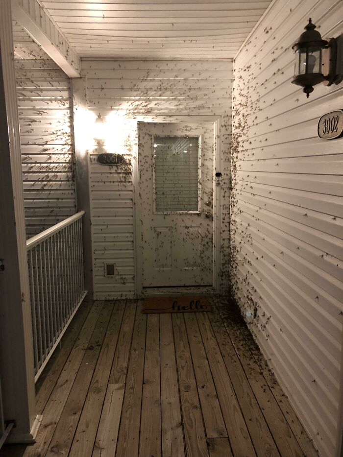 La puerta que tuve que atravesar anoche para llegar a mi habitación