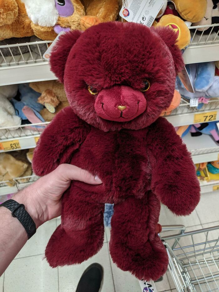 Oso de peluche de aspecto malvado que encontré en la sección de niños