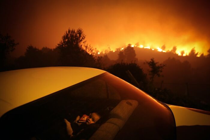 Fuego en el bosque. Oro, editorial, noticias