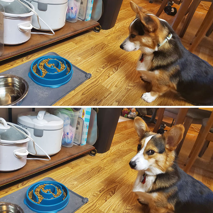 Winston desaprueba que tomemos medidas preventivas contra él comiendo demasiado rápido. ¡La traición!