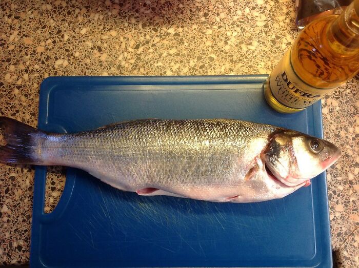 Un pescado