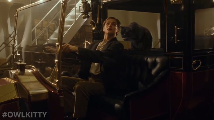 En esta versión mejorada de Titanic hay un gato, y el resultado es divertidísimo