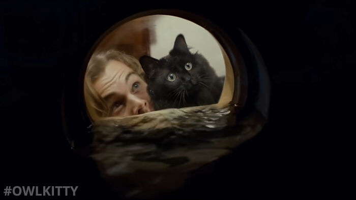 En esta versión mejorada de Titanic hay un gato, y el resultado es divertidísimo