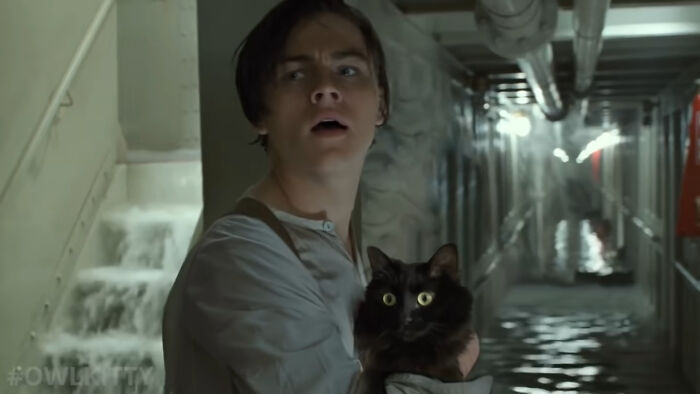 En esta versión mejorada de Titanic hay un gato, y el resultado es divertidísimo