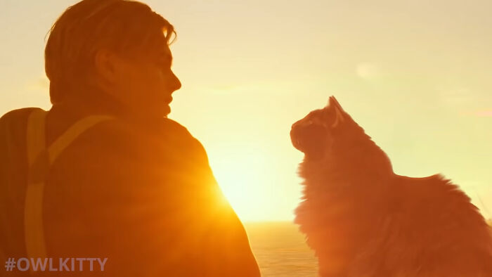En esta versión mejorada de Titanic hay un gato, y el resultado es divertidísimo