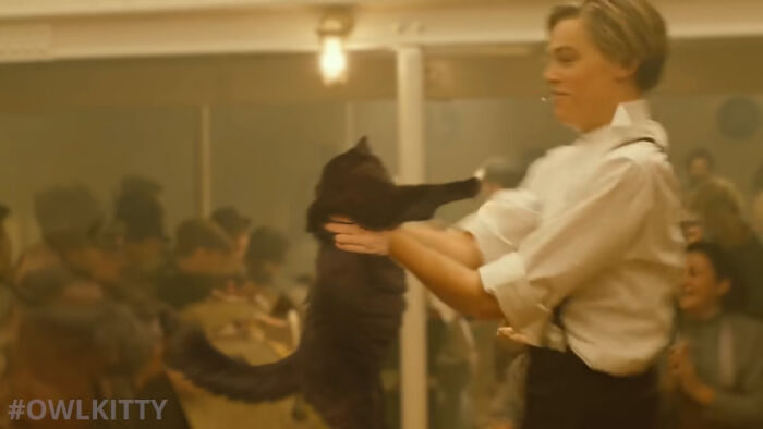 En esta versión mejorada de Titanic hay un gato, y el resultado es divertidísimo