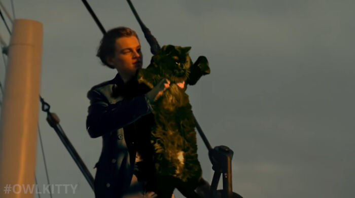 En esta versión mejorada de Titanic hay un gato, y el resultado es divertidísimo