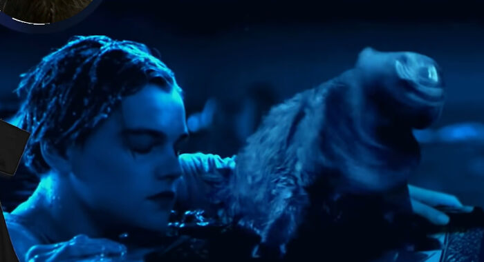 En esta versión mejorada de Titanic hay un gato, y el resultado es divertidísimo