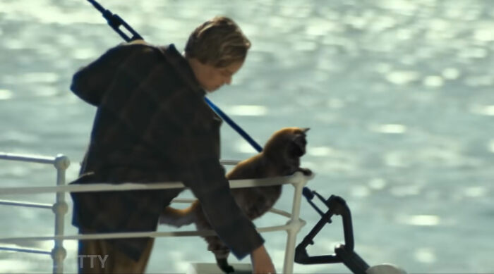 En esta versión mejorada de Titanic hay un gato, y el resultado es divertidísimo