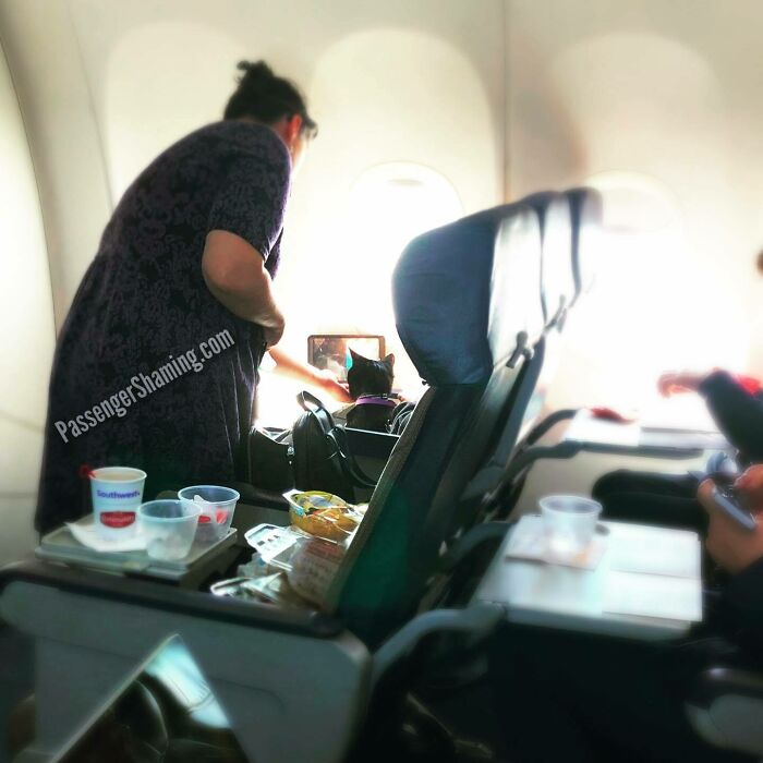This Instagram Gathers Bizarre Images That Prove Passengers From Hell Exist (35 New Pics)