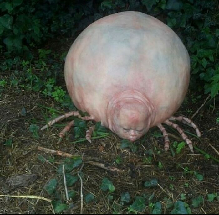 The "Cursed Image Dealer" Instagram Account Collects The Most Uneasy Images Found Online, And Here’s 40 Of Their Best