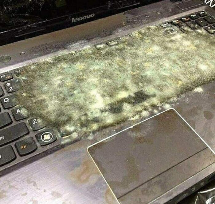 The "Cursed Image Dealer" Instagram Account Collects The Most Uneasy Images Found Online, And Here’s 40 Of Their Best