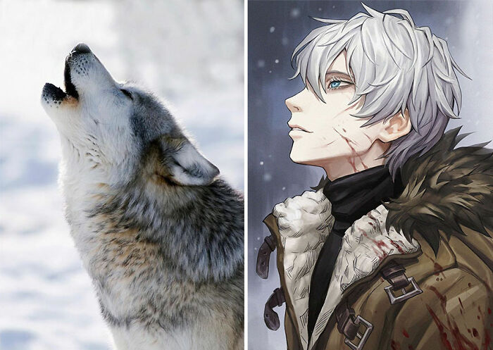 Lobo