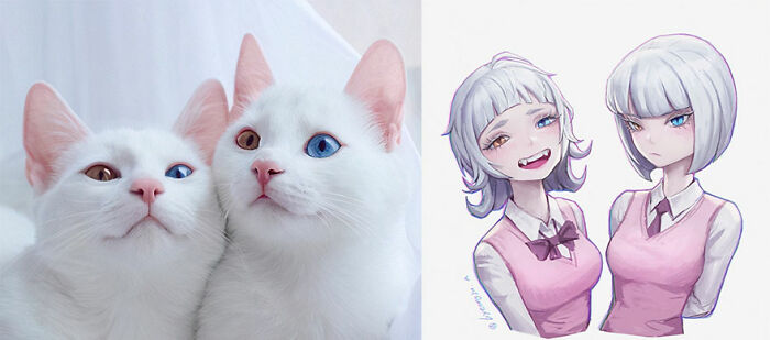 Gatos blancos con heterocromía