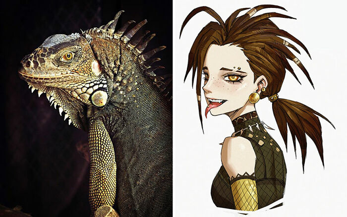 Iguana