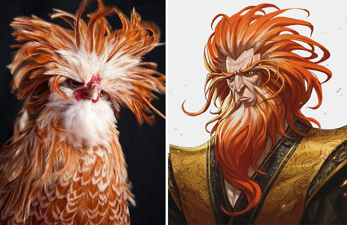 Pollo polaco