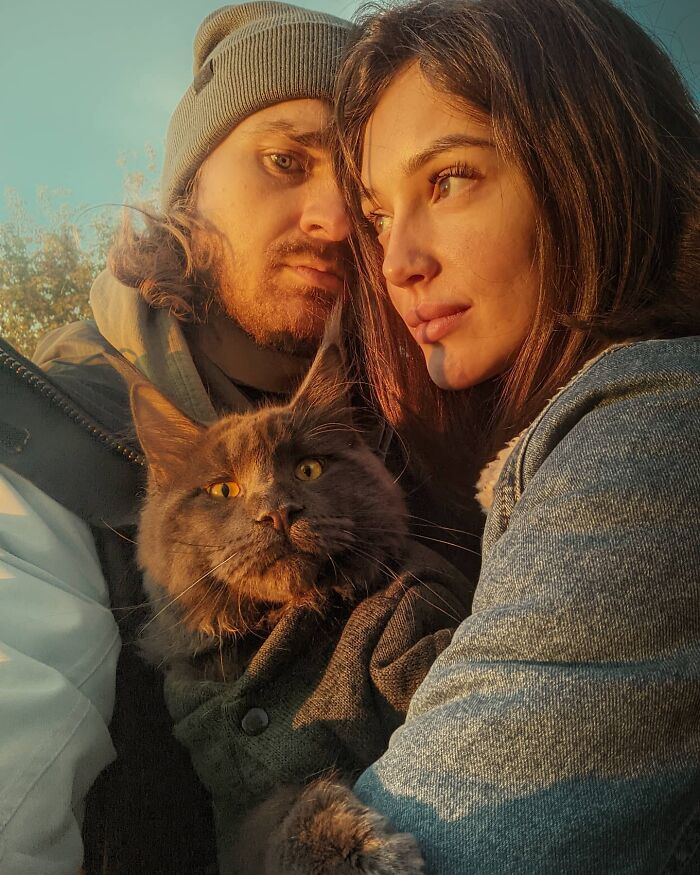Este es Vincent, un gato Maine Coon que parece una pantera y actúa como un perro