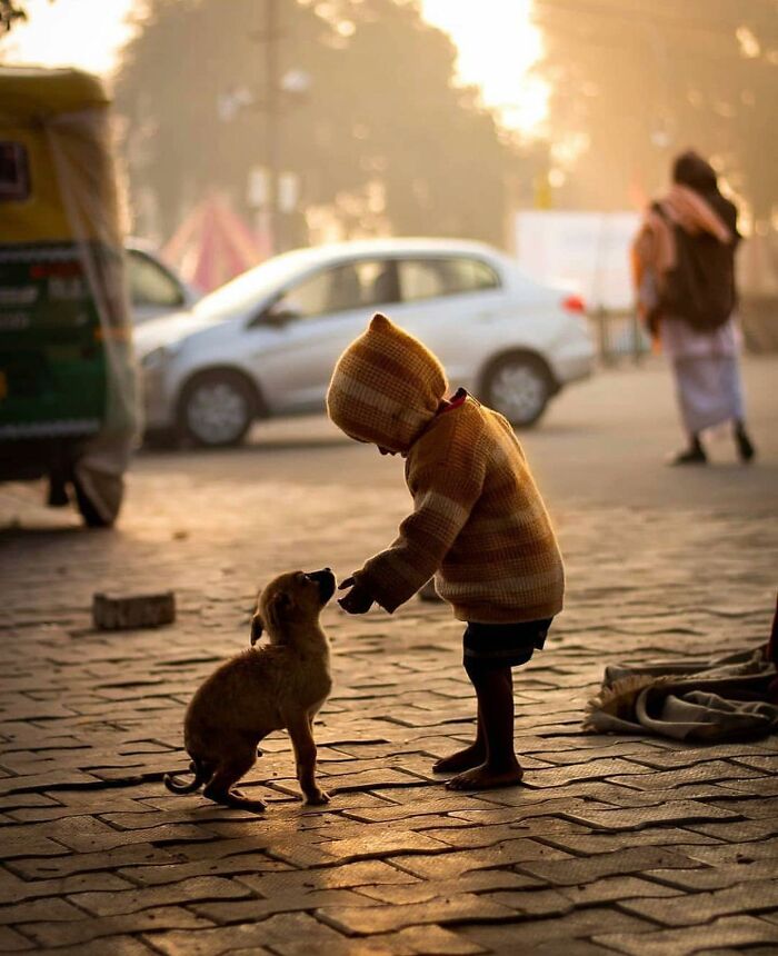 This Instagram Account Features Amusing Street Photographs And Has More Than 500 Thousand Followers (30 Pics)