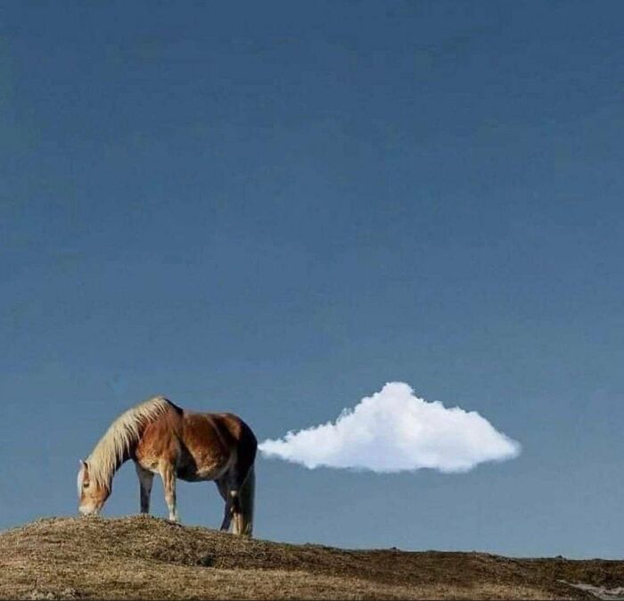 This Instagram Account Features Amusing Street Photographs And Has More Than 500 Thousand Followers (30 Pics)