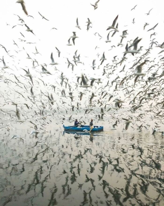 This Instagram Account Features Amusing Street Photographs And Has More Than 500 Thousand Followers (30 Pics)