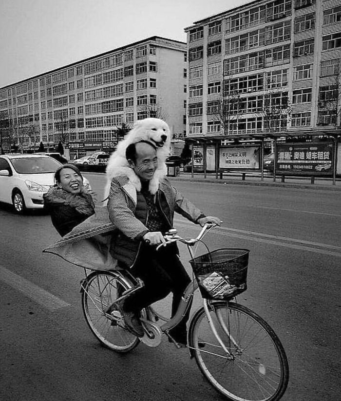 This Instagram Account Features Amusing Street Photographs And Has More Than 500 Thousand Followers (30 Pics)